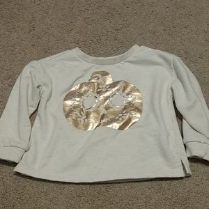2t fall sweatshirt